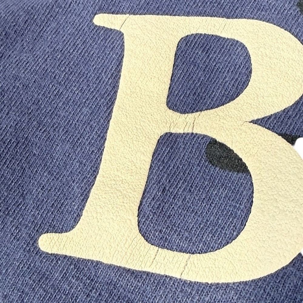 Spirit Jersey Biltmore Estate Shirt XL Blue Fireworks Long Sleeve Souvenir Tee - Picture 10 of 10
